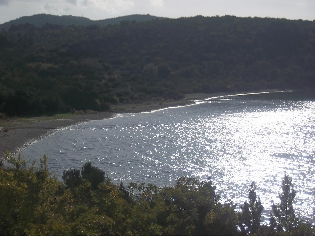 Guesthouse Budima Banići Exteriér fotografie