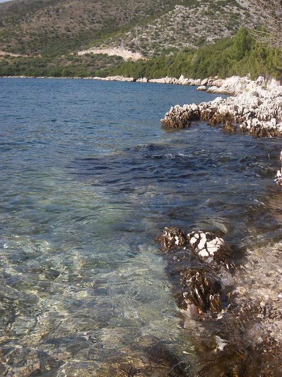 Guesthouse Budima Banići Exteriér fotografie