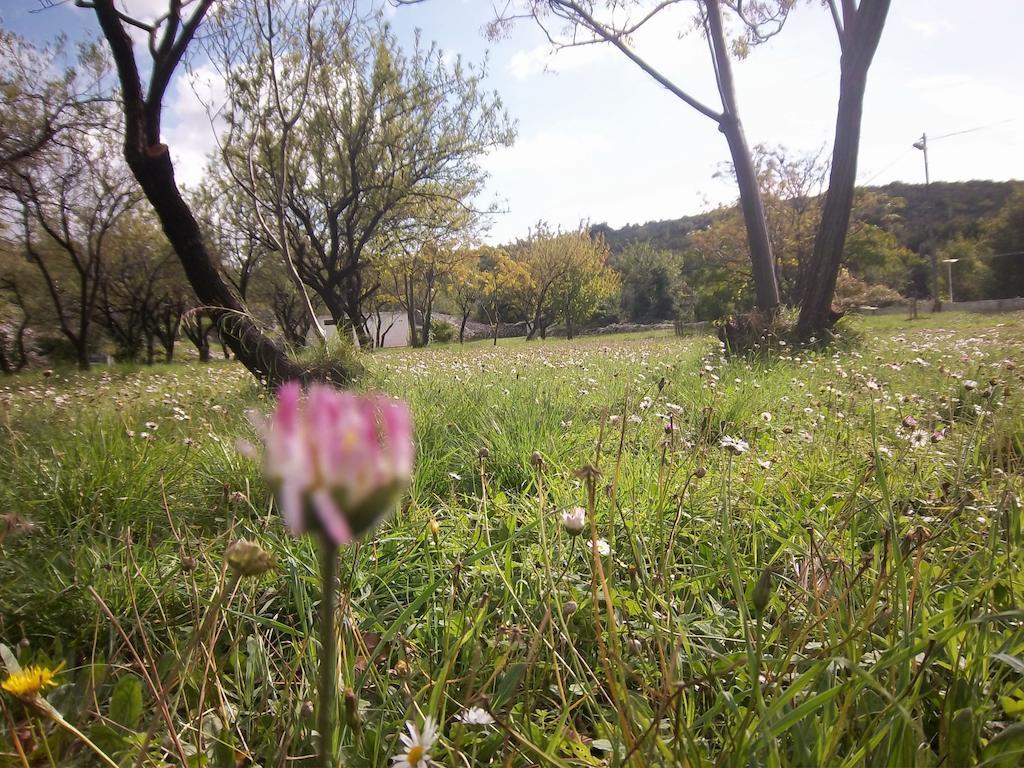 Guesthouse Budima Banići Exteriér fotografie