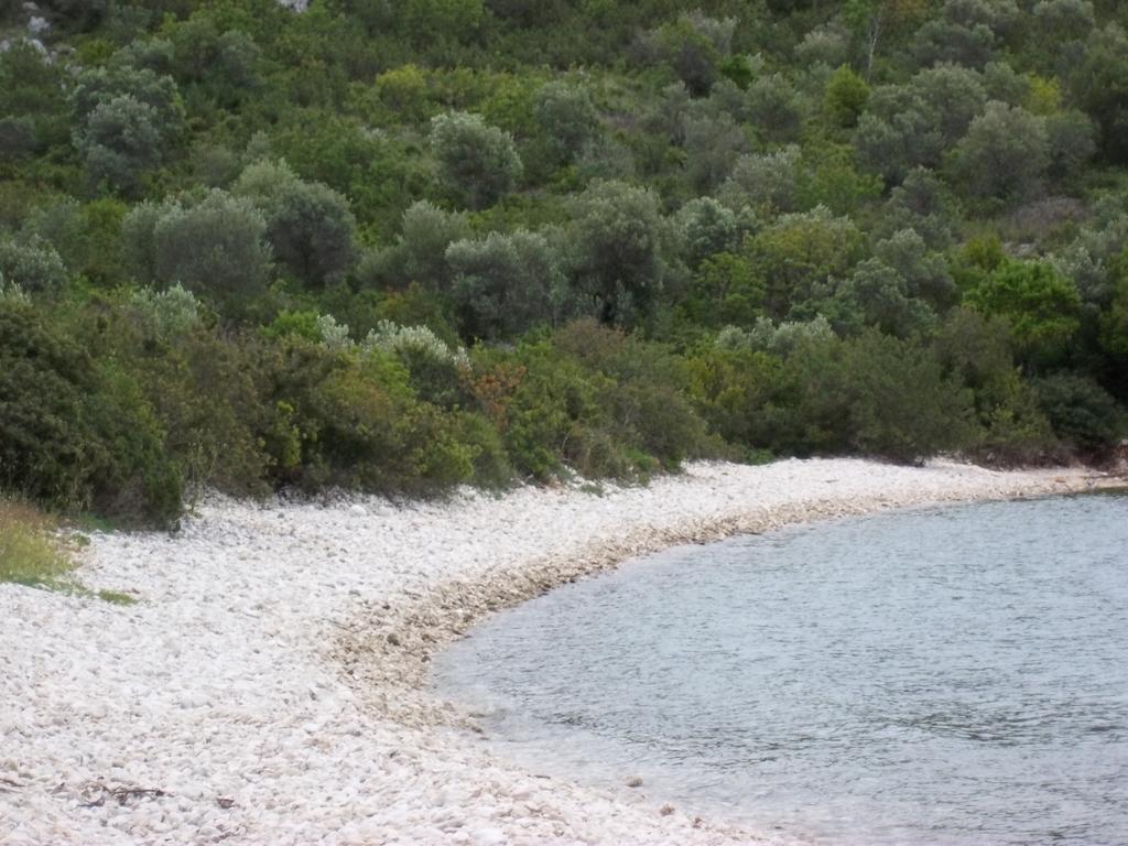 Guesthouse Budima Banići Exteriér fotografie